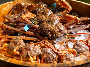 EC@₳̏h@܂̎{ݎʐ^1