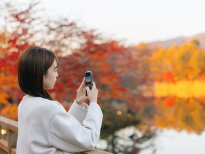 TINY GARDEN���Ȃ̖ڂ̑O�ɂ����Ȍ΂������܂�