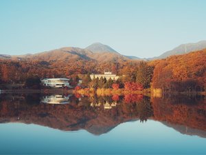 TINY GARDEN���Ȃ��猩�������Ȍ�