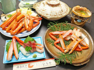 ����̂���C�N�h�@�Ђ��̎{�ݎʐ^1