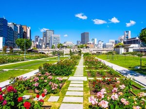 【当館から徒歩で約15分】中之島公園