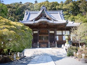 【周辺スポット|修禅寺】本堂へと続く石畳。美しく手入れされた庭園が、参拝者を優しく迎え入れます。
