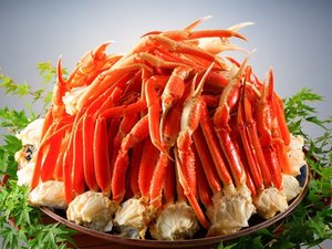 「本ズワイ蟹」提供期間12/31〜1/2・1/9〜3/19