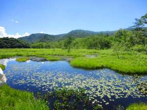 ���b�a�������̎{�ݎʐ^1