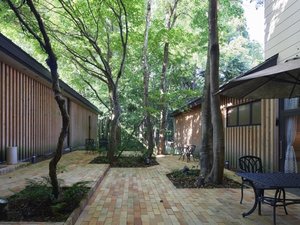 ■中庭|春から秋は中庭での森林浴もおすすめ