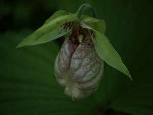 �H�_���򗷊ق̎{�ݎʐ^1