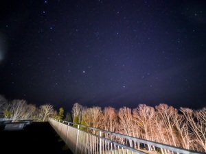 晴れている日は、本館屋上にて15分程星空観察会を行います。※晴天時のみ19:30〜実施、無料