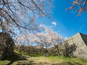 写真提供:鳥取県 国史跡 米子城跡 空も山も海も街も全部が一望できる場所です。