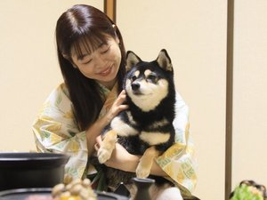 全客室ワンちゃんフリーでゆったり滞在※イメージ