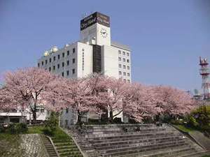 ����V�e�B�z�e���̎ʐ^