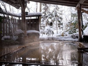 �S�N�̔������Ƌɏ�̑ݐؘI�V���C�@���ّ���̎ʐ^