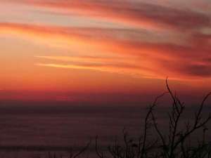 �e���X����̗[�z