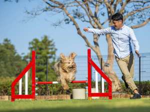 Wan's Resort ワンズリゾート城ヶ崎海岸