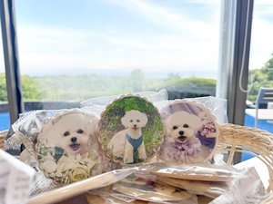 Wan’s Resort 城ヶ崎海岸(2/11〜リブランド)の施設写真1