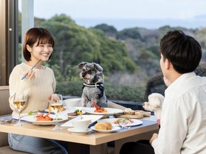 愛犬と一緒に楽しむオーシャンビューレストラン