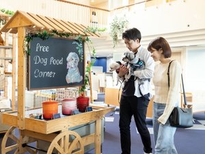 愛犬が喜ぶ無料ドッグフードコーナー