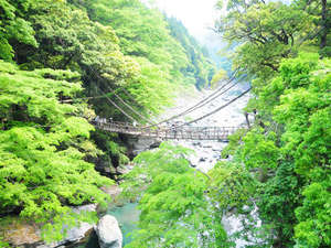 �y�����狴�z����Ȍk�J�ɂ����ł��I