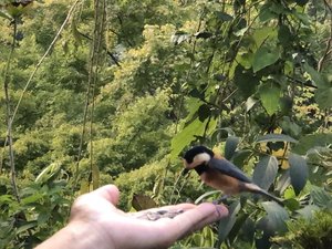 ����Ȏ����ł��܂�(*^^)v