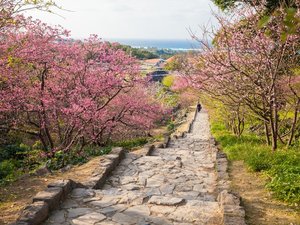 今帰仁城趾まで25分