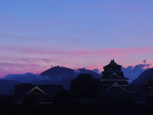 【景色】雲海と共に佇む厳かな雰囲気の熊本城。