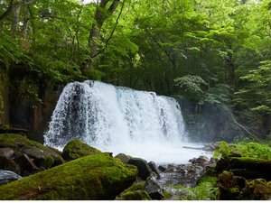 �y���ӊό��z�������k���܂ŎԂ�10���ł��B