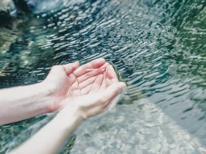 �����̓��h�@��]�{�Ƃ̎{�ݎʐ^1