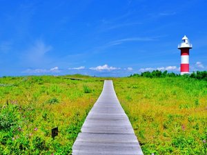 【当館から車で約16分】砂丘と植物が広がる美しい「はなますの丘公園」