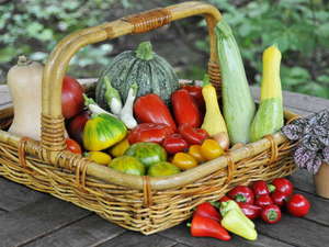 �M�B�Y�̖��