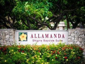 【エントランス】南国感漂うアラマンダの花がお出迎え。記念撮影におすすめです。