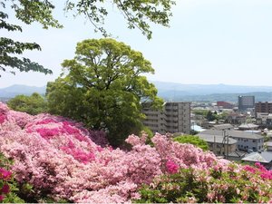 神社から見渡せる大津の街は雄大で、澄んだ空気に心も洗われるようです。