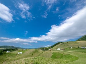 グランピングエリア全景。