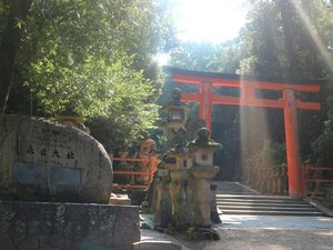 �t�����