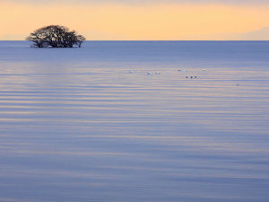 奥びわ湖の風景
