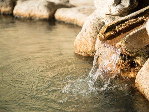 �z�e���b���̎{�ݎʐ^1