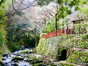 万葉公園◆春の様子