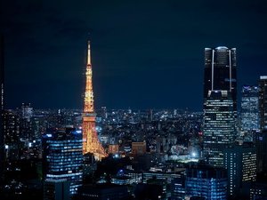 Licensed by TOKYO TOWER