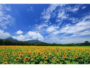 �y���ق���ԂŖ�11���z���R�Ђ܂��p�[�N