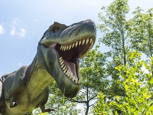 かつやまディノパーク_宿から車で約60分