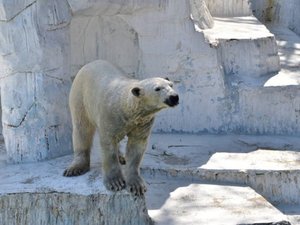 天王寺動物園当館最寄りの「本町駅」より御堂筋線で10分程です。
