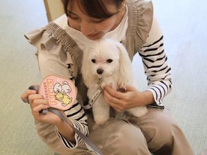 【ワッペン】リードに着けることができますので、ご滞在中にご利用ください