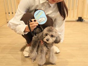 【ワッペン】メッセージワッペンをフロントにてご用意しております