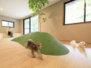 【屋内ドッグラン】滑りにくい素材なので元気よく走り回れます