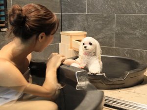 【貸切温泉】わんちゃんと一緒に入浴時間
