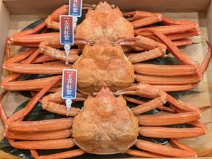 湯野浜近くの加茂港で篭漁を営む協和丸が獲った新ブランド「天喜紅蟹(てんぎのべにかに)」