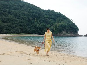ペットと一緒におさんぽが楽しめる徒歩5分の城ノ浜プール&ビーチ