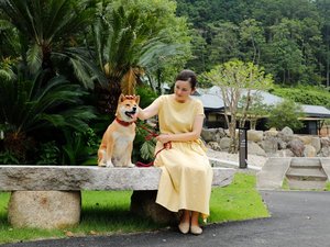 ペット(愛犬)と一緒に楽しめる自然豊かな敷地内
