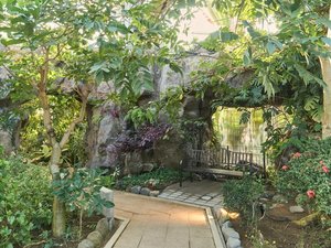 熱帯植物館内観
