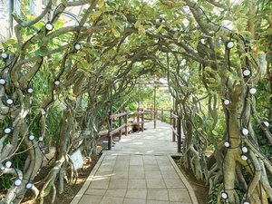 熱帯植物館内観