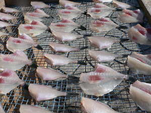藤乃屋特性のカワハギの干物