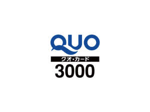 QUO3000~J[hv